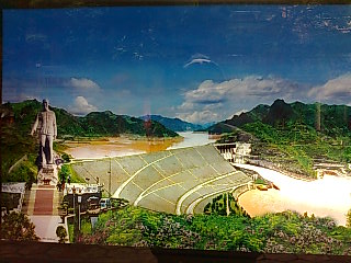 口袋栗子安卓版